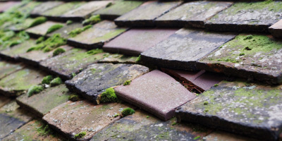 Needingworth roof repair costs